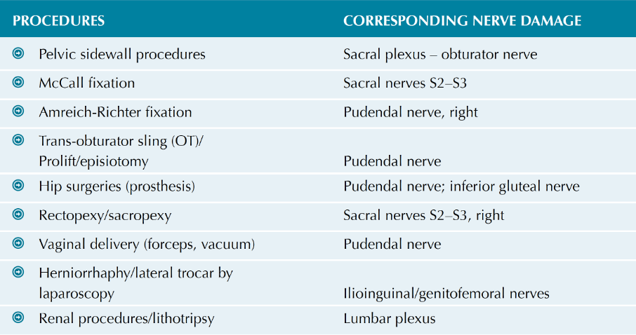Pudendal Nerve Entrapment Syndrome: Clinical Aspects and Laparoscopic  Management